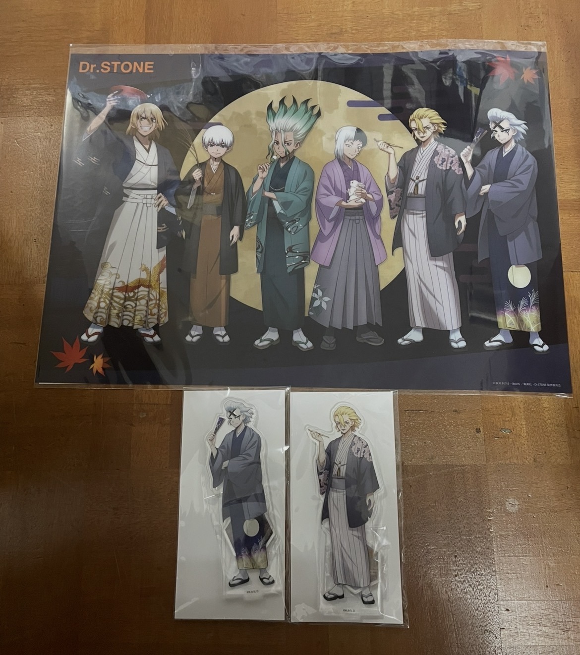 Dr.Stone manekineko online - Articulos Japan (Post Box Japan)