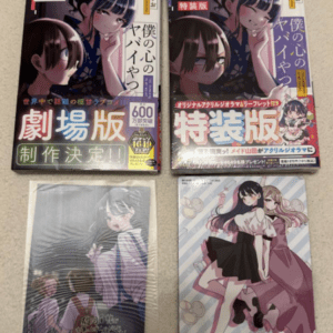 72044 My Dangerous Girl Vol. 11 Regular Edition & Special Edition Surugaya Purchase Bonus Set