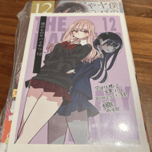 72046 The Dangerous Guy in My Heart by Norio Sakurai, Volume 12, Special Edition with Acrylic Diorama