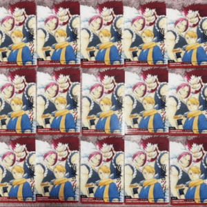 72988 Square Enix Comic Fair Bookstore Bonus Clear Cards 15 Pieces Yomi no Tsugai Arakawa Hiromu