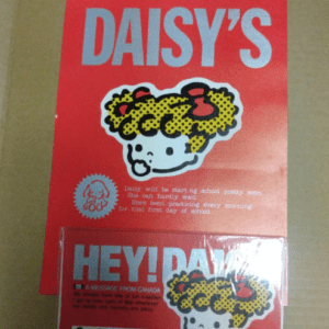 73279 Sanrio Showa Retro Daisy & Vivi