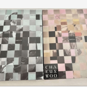 74039 Cha Eunwoo ENTITY 2-book set