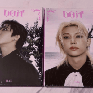 74219 Stray Kids DOIT accordion, brand new, unopened, Han, Felix