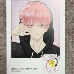 74383 Which one is Tamon-kun now!? Shiwasu Yuki Mini Photo Card Fukuhara Tamon Jimehara Secret
