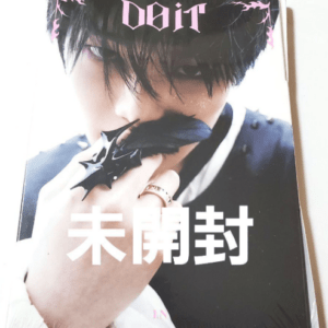 74698 Brand new, unopened Stray Kids DO IT ACCORDION (I.N.)