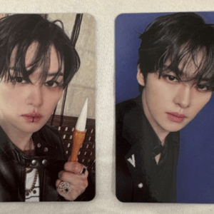 74866 Stray Kids Leeknow (HOP) Photocard Set