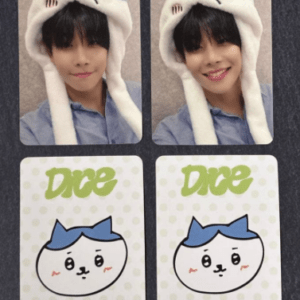 74785 ASTRO ZOONIZINI Photocard MJ