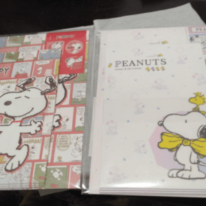 75110 Snoopy letter set