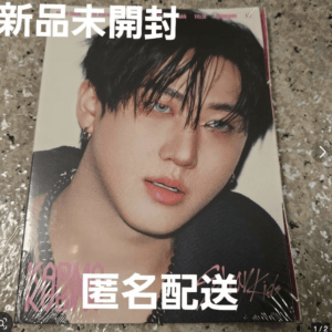 75235 straykids KARMA ACCORDION ver.