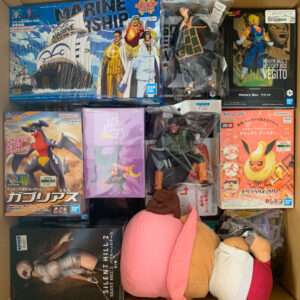 76760 Pago de Envio Maritimo Caja Grande