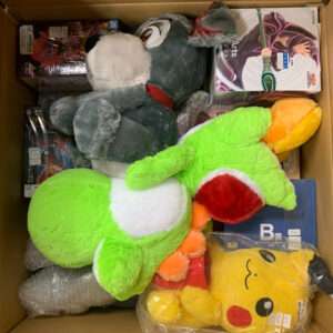 77711 Pago de envio maritimo