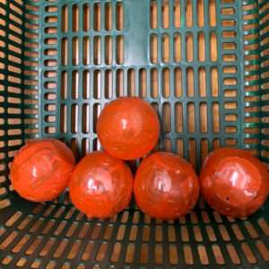 Five orange plastic balls in a green perforated basket, resting on the bottom rack.