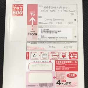Japanese Letter Pack Plus 600 envelope showing To/From address form and red branding (postal service label).