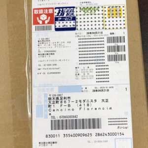 Shipping label on a cardboard box featuring multiple barcodes, Japanese text, and red caution icons/labels.