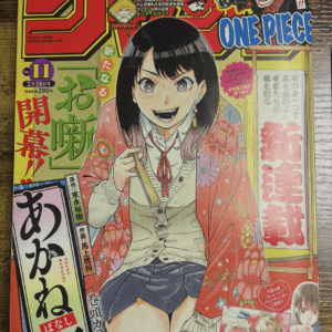 Colorful cover of Weekly Shonen Jump magazine featuring a smiling girl in a pink floral cardigan kneeling, holding a thin wooden rectangle in front of her with bold Japanese text and the ONE PIECE logo in the top right.  Articulos Japan (Post Box Japan)