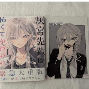   Articulos Japan (Post Box Japan)