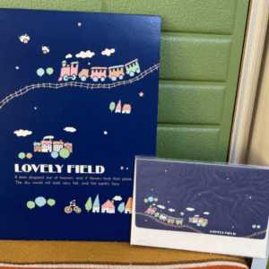 76914 Rare! Showa Retro Young Kokuyo Lovely Field Letter Set, Blue, Unused