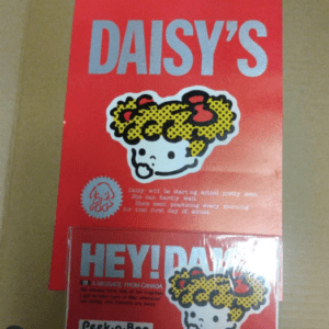 77273 Showa Retro Daisy & Vivi