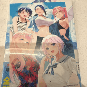 Box with anime illustration of five women in beachwear posing together on a product package.  Articulos Japan (Post Box Japan)