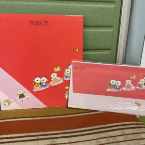 Red gift box and pink card set with cartoon ducks in colorful outfits, labeled 'BUSH BOYS.'