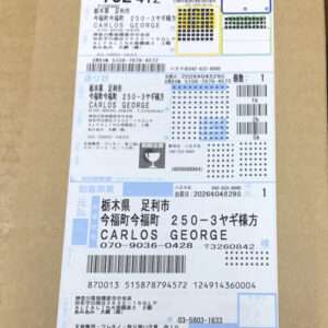 Japanese shipping label on a cardboard parcel showing recipient name (Carlos George), address blocks, and multiple barcodes/tracking areas.