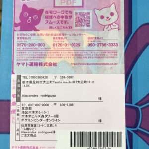 Close-up of a Japanese shipping label with a barcode, recipient Alexandra Rodriguez, and Japanese addresses over a pink background with cartoon cats.