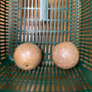 Two round steamed buns with decorative swirls, wrapped in plastic, in a green shopping basket.