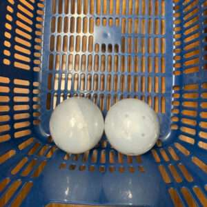 Two pale blue eggs resting side by side in a blue perforated crate.
