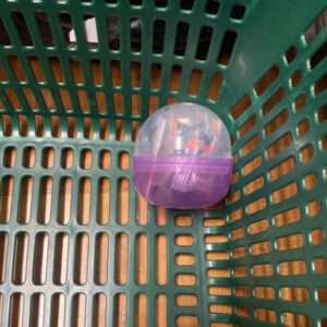 Small round plastic capsule with a purple bottom and clear top inside a green shopping basket (likely a toy).