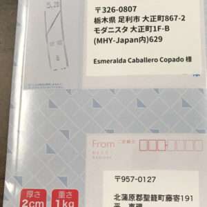 Japanese parcel with two white address labels (To and From), a blue Nippon 210 postage stamp, a patterned background, and a red 'SmartLetter' label indicating max thickness 2 cm and max weight 1 kg.