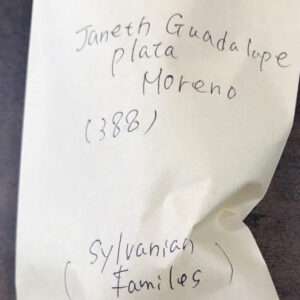 Crinkled paper with handwritten names: Janeth Guada Lopez Plata Moreno and note showing (388). Nicer to touch for a list of names, including Sylvanian Families Gacha at the bottom.