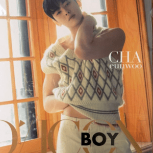 Album cover showing Cha Eun-woo in a cream diamond-pattern sweater, standing by a wooden-framed window; 'BOY' title across the bottom.