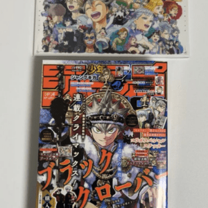 Large colorful collage poster of numerous anime characters arranged together, with a smiling central figure, hung on a wall above a bold Japanese manga magazine cover.