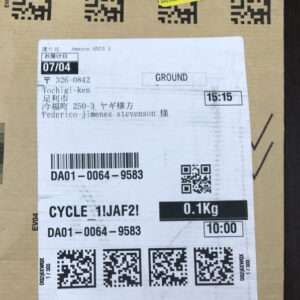 Shipping label on a cardboard box with a destination in Japanese, a 'GROUND' label, date 07/04, time 15:15, weight 0.1 kg, plus barcodes/QR codes.