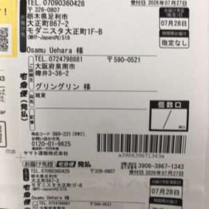 91390 Plus doll