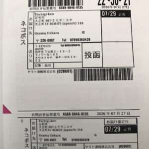 91405 Plus doll