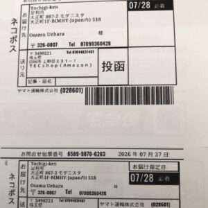 91415  Plus doll