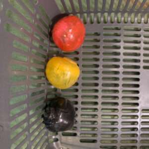 Three round plastic objects in red, yellow, and black inside a gray slotted basket.