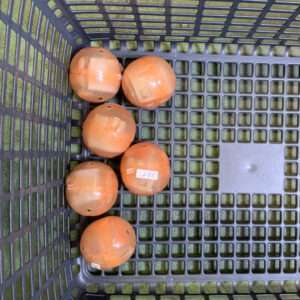 Five small orange plastic balls with price stickers placed in a dark plastic grid basket.