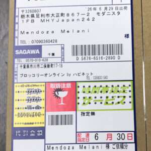 Japanese shipping label with tracking numbers, barcodes, and recipient Mendoza Melani's address information on a cardboard parcel label.