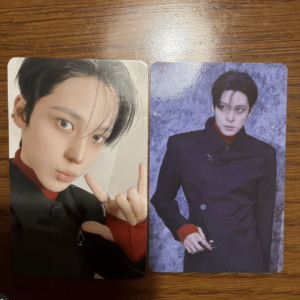 Two photo cards featuring a person in a black coat with red cuffs: left a close-up selfie, right a full-body pose against a blue textured backdrop.