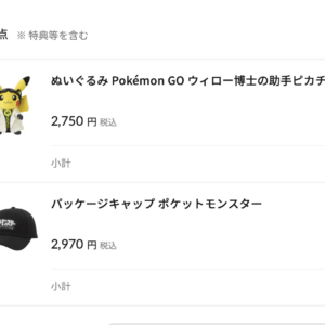 注文内訳:白いコートを着たピカチュウのぬいぐるみ(Pokémon GO用)2,750円、黒いキャップ2,970円。