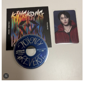 91354 TREASURE KING KONG / REVERSE CD Haruto Photocard