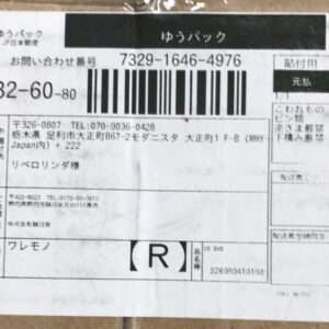93711 Plus doll