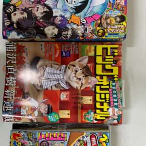 93317 Figure Anime (5) WhatsApp