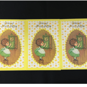 94413 Deadstock Hallmark "Charmer" Mini Notebooks