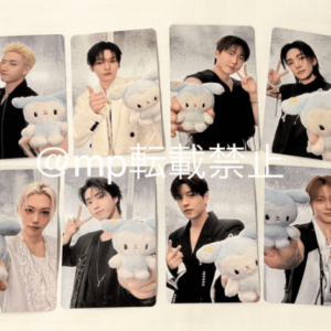 94513  Stray Kids Seoul Concert "RUN IT" Bonus Photocards – Complete Set of 8