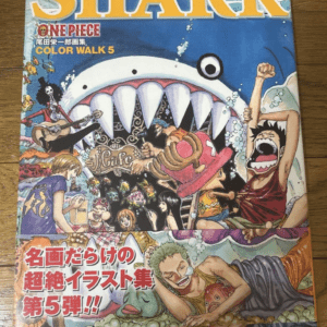 95656 ONE PIECE COLOR WALK 5 SHARK