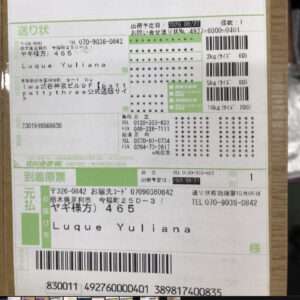 95852 Plus doll