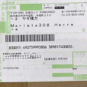 95855 Plus doll